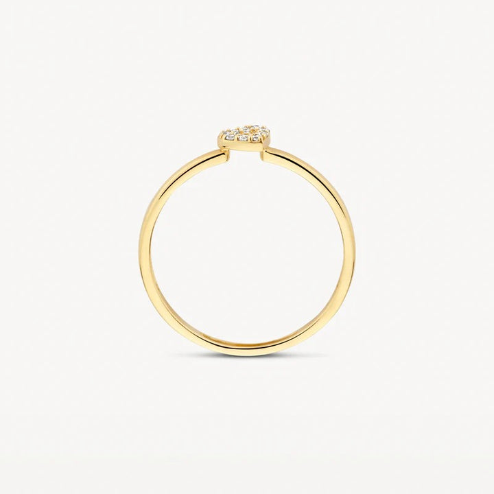 Ring 1231YZI - 14k Geelgoud met zirkonia maat 54