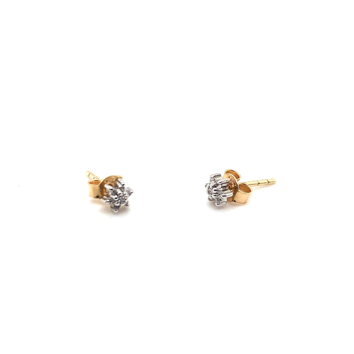 14 kt oorstekers diamant 0.05 ct W/Si illusiezettig