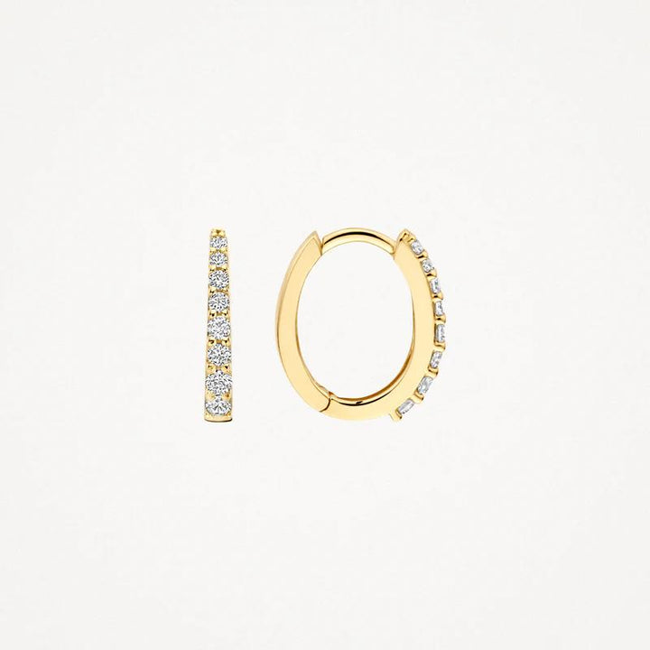 blush jewels 14k Oorringen 7341YZI met Zirkonia