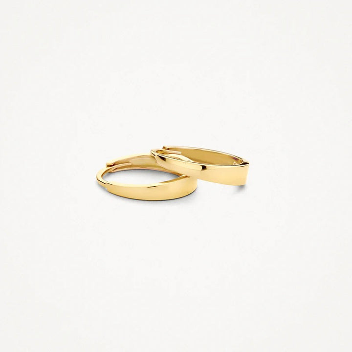 14 kt Blush Oorringen 7379YGO geelgoud