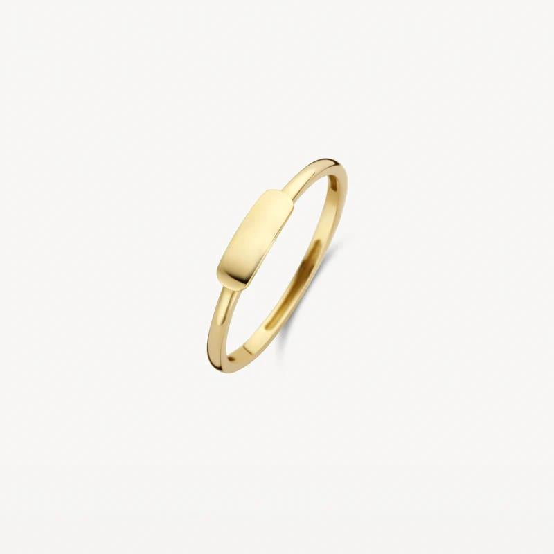 14 kt Blush Ring 1236YGO geelgoud mini zegel