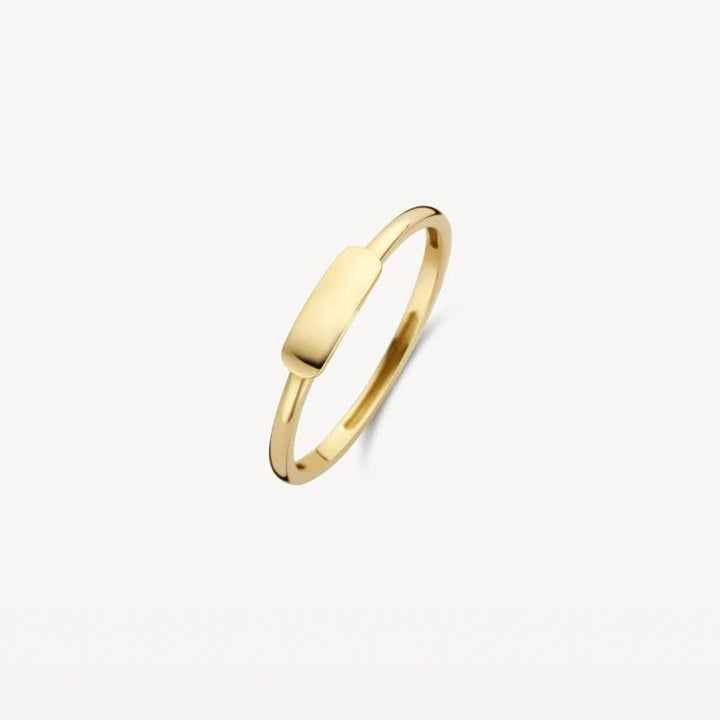 14 kt Blush Ring 1236YGO geelgoud mini zegel