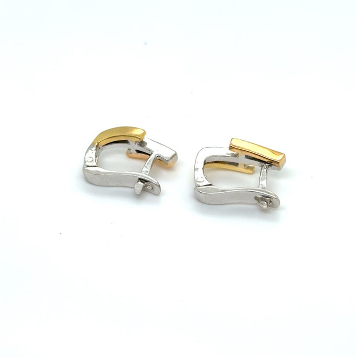 14 kt Bicolor Oorringen met Diamant – Occasion