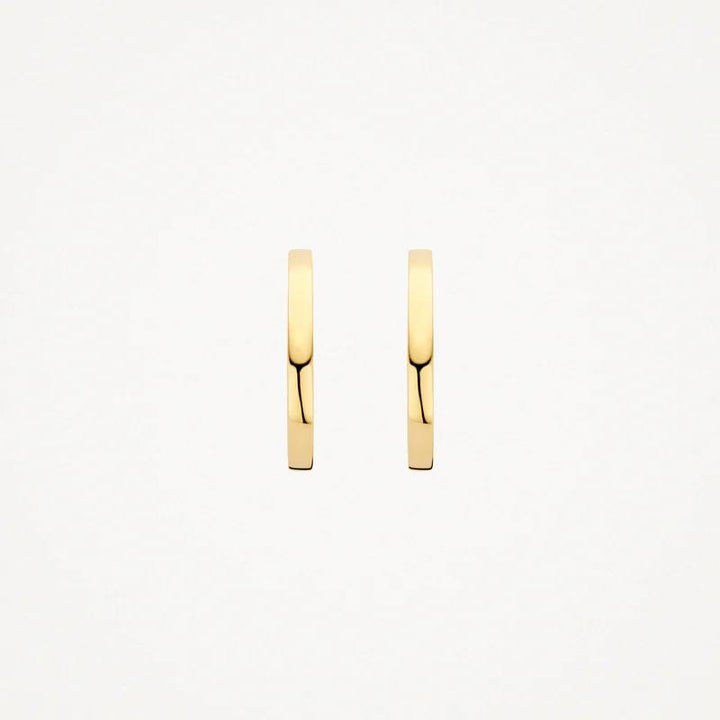 14k Blush Jewels geelgouden oorringen 7308YGO
