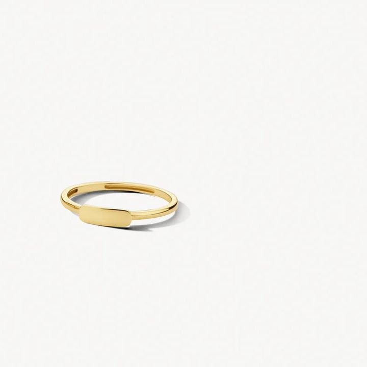 14 kt Blush Ring 1236YGO geelgoud mini zegel