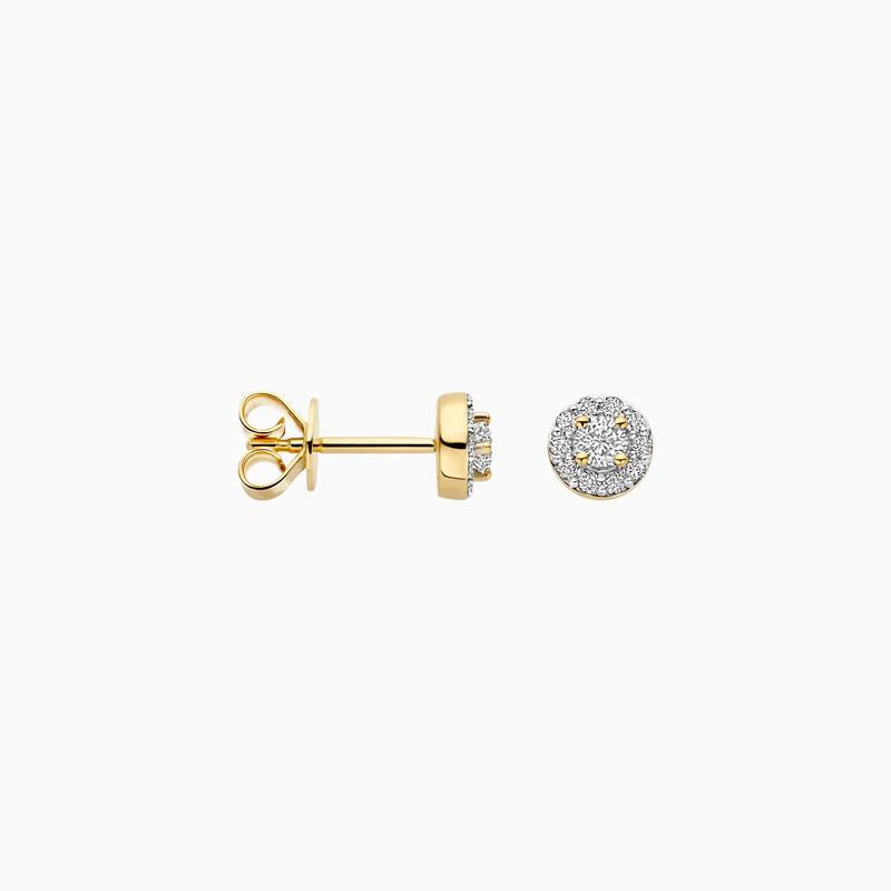 Blush Lab Diamonds Oorknoppen LG7011Y 2x 0.145 ct
