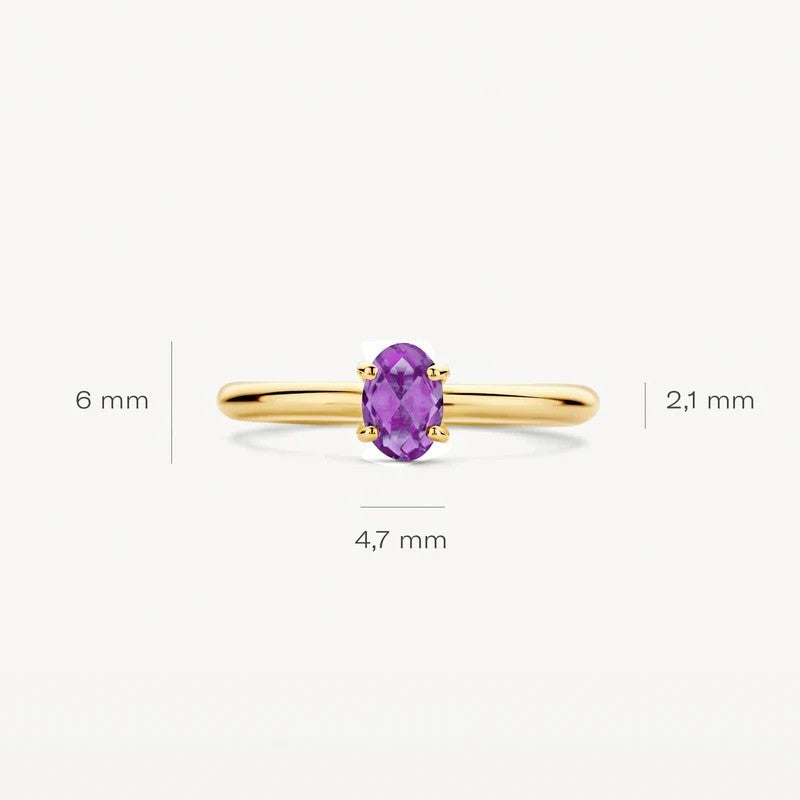 14k Geelgouden Ring met Amethyst 1242YAM