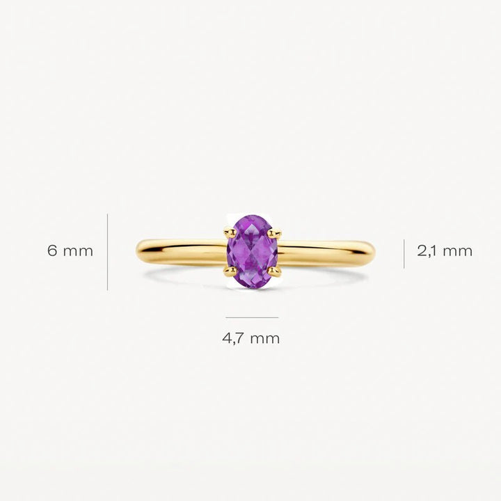 14k Geelgouden Ring met Amethyst 1242YAM