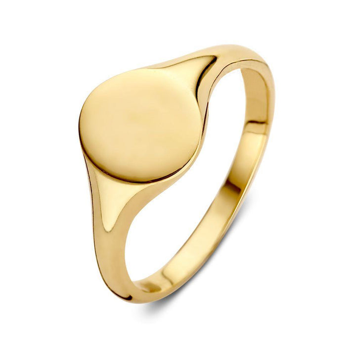 14 kt zegelring 2 mm brede scheen en plaat breedte 9.5 mm