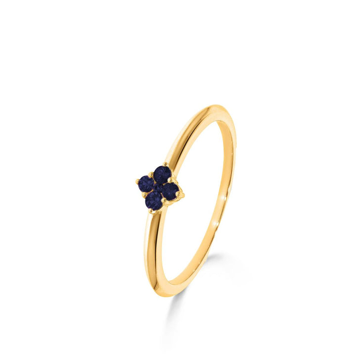 18 kt Ring Saffier Geelgoud 068015S