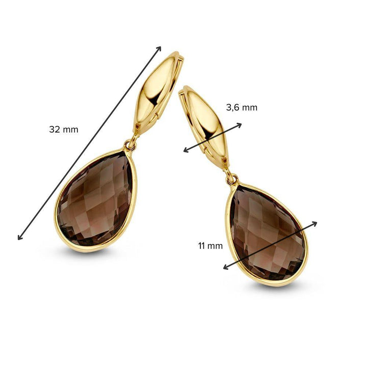 Oorringen 14k geelgoud Rookkwarts