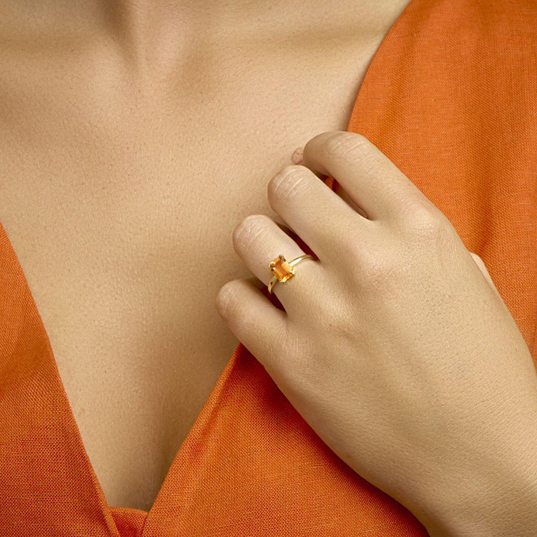 Xavi Huyscollectie 40.22412