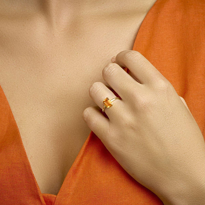 Xavi Huyscollectie 40.22412