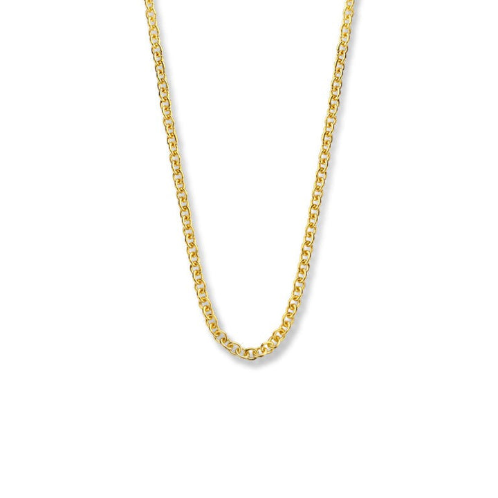 14 kt Geelgouden Jasseron Collier – 3 mm, 45 cm