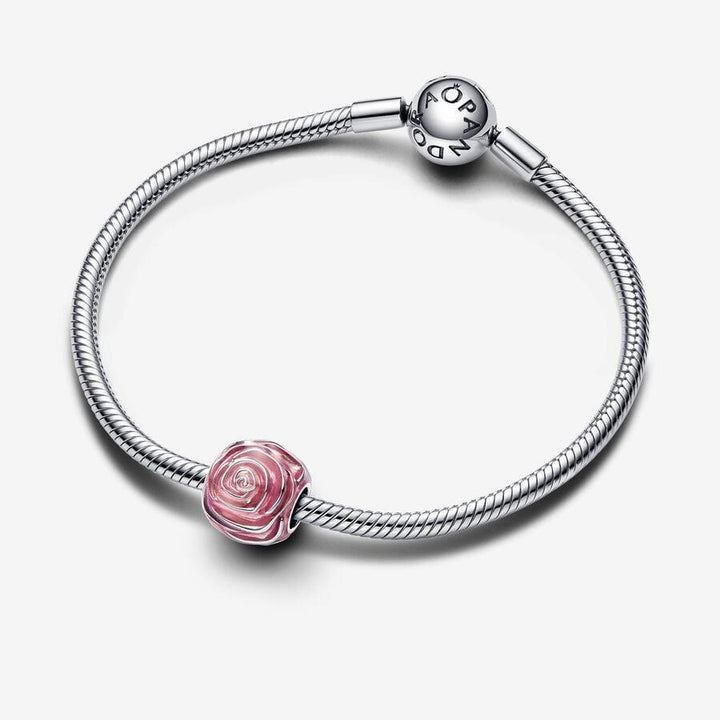 Pandora Roze roos in bloei bedel  793212C01