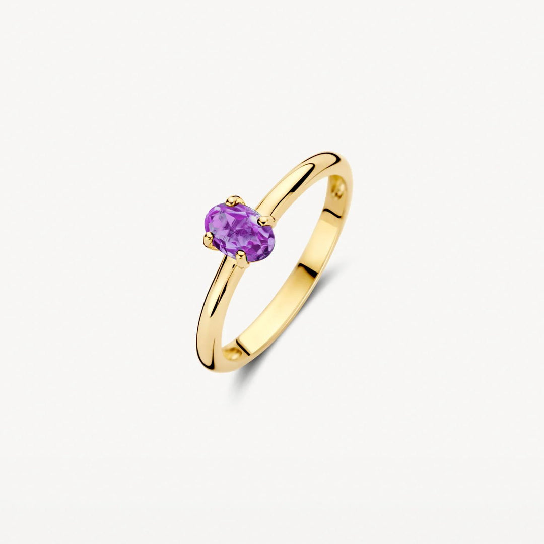 14k Geelgouden Ring met Amethyst 1242YAM