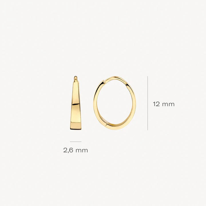 14 kt Blush Oorringen 7379YGO geelgoud